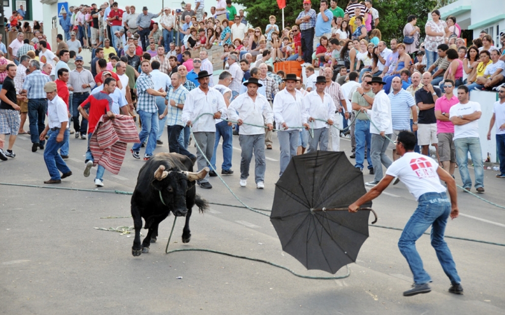 tourada-a-corda-acores